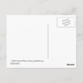 Sky Light Postkarte (Rückseite)