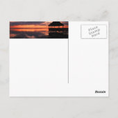 Sky Mirror Postkarte (Rückseite)