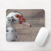 Sky Mousepad (Mit Mouse)