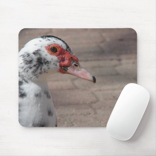 Sky Mousepad (Mit Mouse)