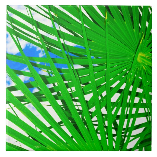 Sky Palm Keramik Tile Fliese (Vorderseite)