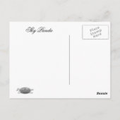 SKY PANDA POSTKARTE (Rückseite)