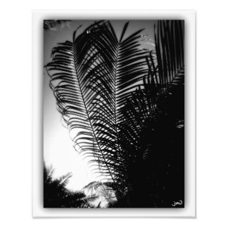 Sky Scraper Fotodruck