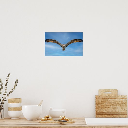 Sky Sovereign: Osprey in Flight Poster (Küche)