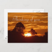 Sky View Postkarte (Vorne/Hinten)