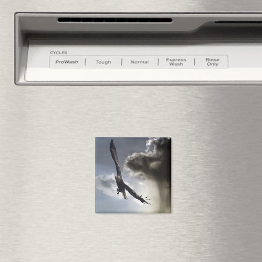 "Sky Warrior" Bald Eagle Geschenke Magnet (In Situ (Geschirrspüler))