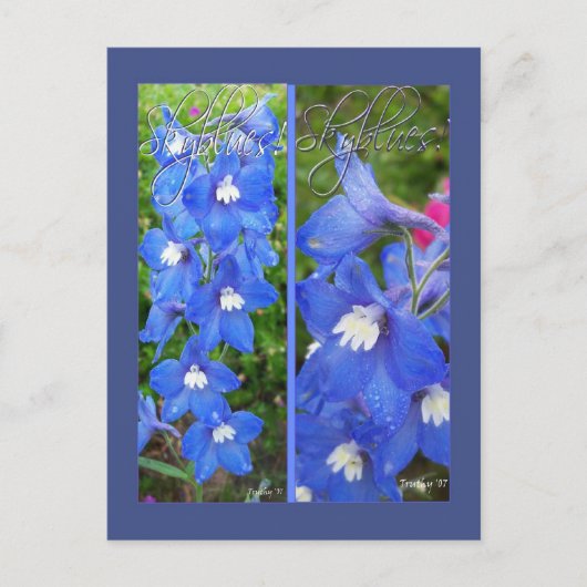 SKYBLUES LESEZEICHEN POSTKARTE (Vorderseite)