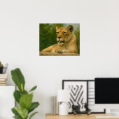 Skybound Grace - Lioness on Ledge Poster (Heimbüro)