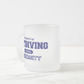 Skydiving Universität Mattglastasse (Vorderseite Links)