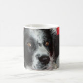 Skye die Border-Collie Kaffeetasse (Mittel)