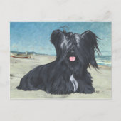 Skye Terrier am Strand Postkarte (Vorderseite)