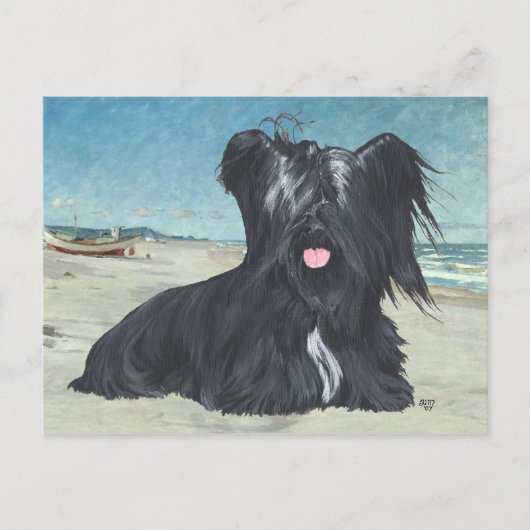 Skye Terrier am Strand Postkarte (Vorderseite)