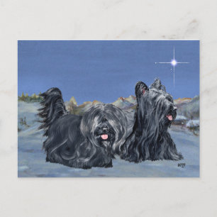 SKYE Terrier an einem Winterabend Postkarte