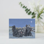 SKYE Terrier auf einem Winter-Abend Postkarte (Stehend Vorderseite)