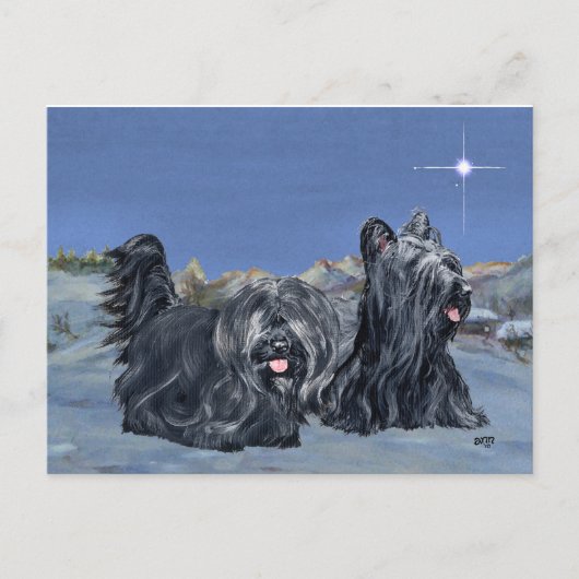 SKYE Terrier auf einem Winter-Abend Postkarte (Vorderseite)