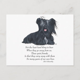 Skye Terrier Erinnerung Postkarte