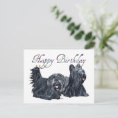 Skye Terrier Geburtstagskarten Postkarte (Stehend Vorderseite)