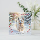 Skye Terrier Hund im Schnee frohe Weihnachten (Stehend Vorderseite)