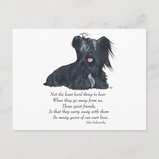Skye Terrier Memory Postkarte (Vorderseite)