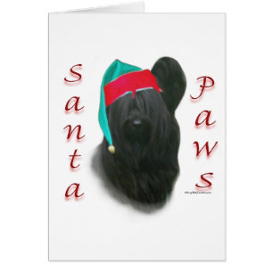 Skye Terrier Santa Paws