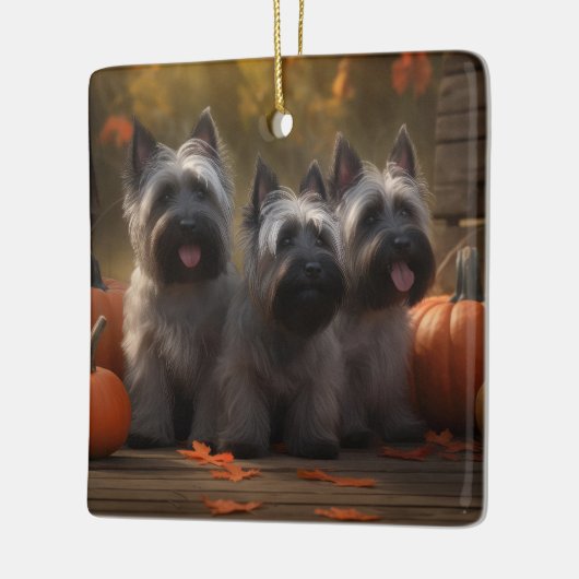 Skye Terrier Welpe Autumn Delight Pumpen Keramikornament (Links)