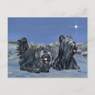 SKYE Terriers an einem Winterabend Postkarte