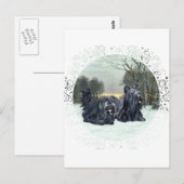 Skye Terriers Snowy Sunset Postkarte (Vorne/Hinten)