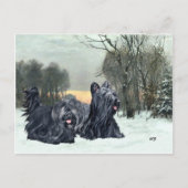 Skye Terriers Snowy Sunset Postkarte (Vorderseite)