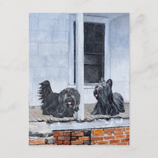 Skye Terriers warten auf der Porch Postkarte (Vorderseite)