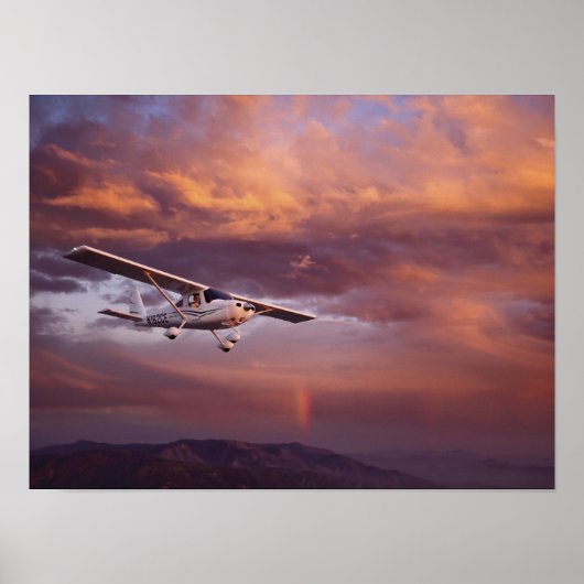 Skyfire Skycatcher Poster (Vorne)