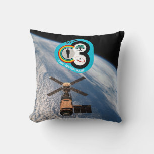 Skylab 3 kissen