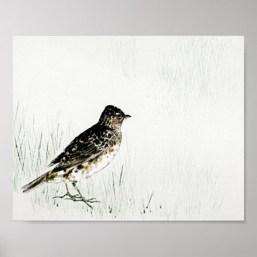 Skylark Bird, Watanabe Seitei Poster (Vorne)