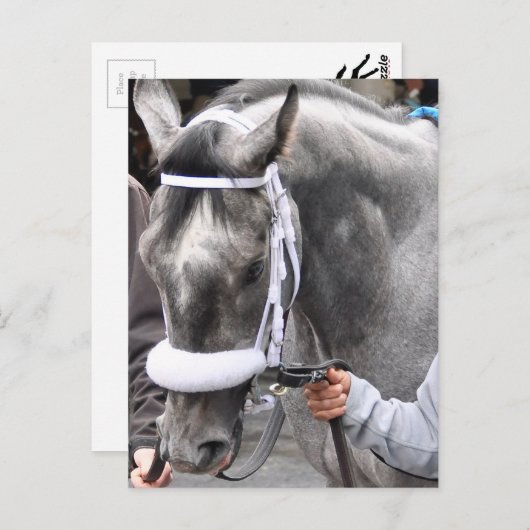 Skylars Scramjet Postkarte (Vorne/Hinten)