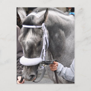 Skylars Scramjet Postkarte