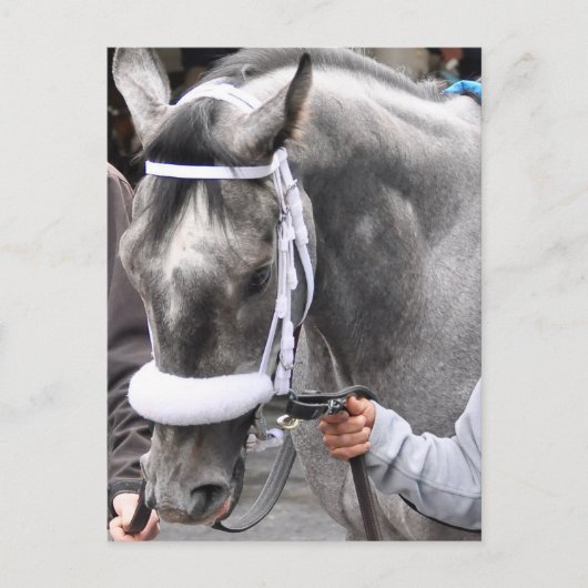 Skylars Scramjet Postkarte (Vorderseite)