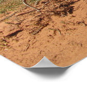 Skyline Arch, Utah Poster (Ecke)