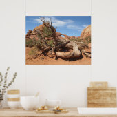 Skyline Arch, Utah Poster (Küche)