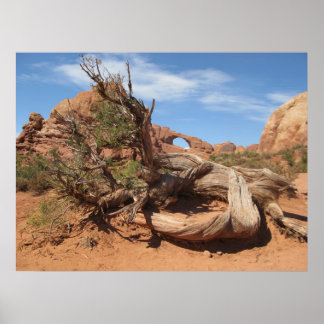 Skyline Arch, Utah Poster