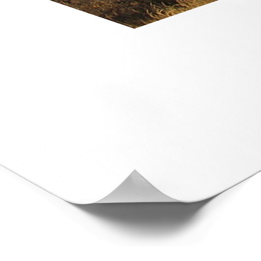 Skyline Poster (Ecke)