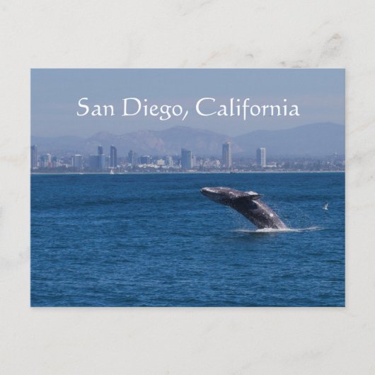 Skyline von Whale und San Diego Postkarte (Vorderseite)