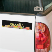 SKYLINE WB1 OMAHAS NEBRASKA AUTOAUFKLEBER (Auf Lkw)