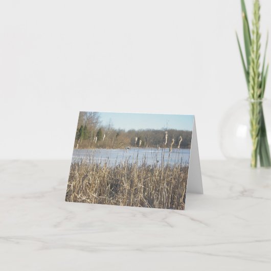 Skymount-Teich in der Eisnotizkarte Karte (Vorderseite)