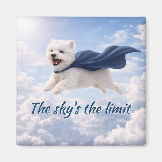 Sky's the Limit Magnet (Vorne)