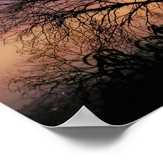 Skyscape Branches Poster (Ecke)