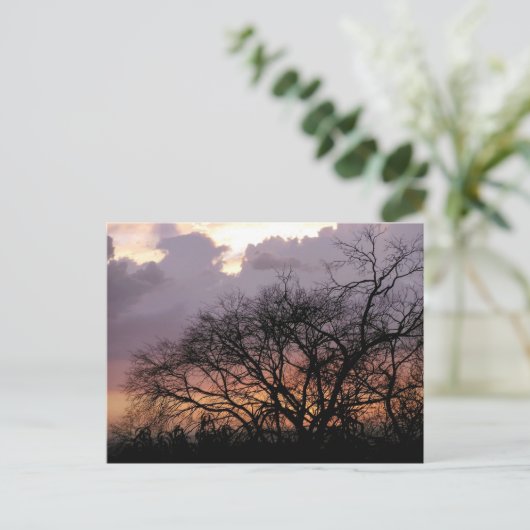 Skyscape Branches Postkarte (Stehend Vorderseite)