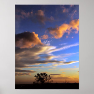 Skyscapes: Ferntree Gully - POSTER