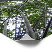 Skyward Bamboo Poster (Ecke)