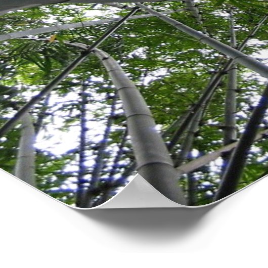 Skyward Bamboo Poster (Ecke)