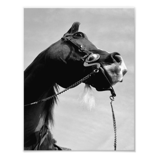 Skyward Fotodruck (Vorne)