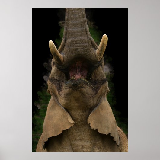 Skyward Snack Elephant's Upward Reach Poster (Vorne)